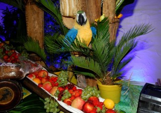 Reunion_GO-65ansClubMed (8)